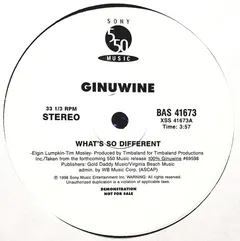Ginuwine – What’s So Different (Vinyl, 12")
