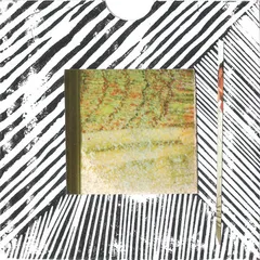 Graham Dunning – White Donkey (CDr, Album)