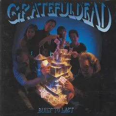 Grateful Dead* – Built To Last (CD, Album)