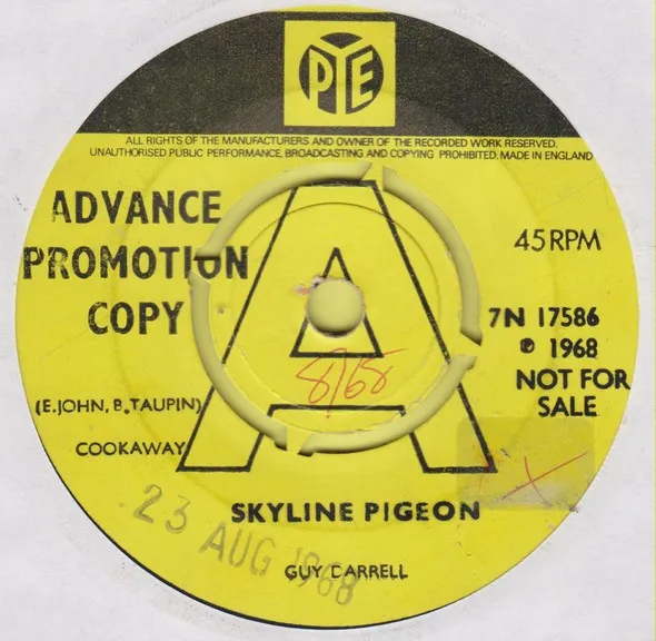 Guy Darrell – Skyline Pigeon
