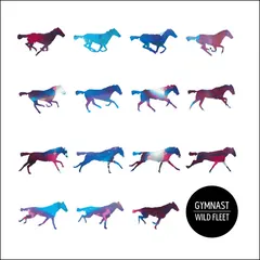 Gymnast – Wild Fleet (CD, Album)