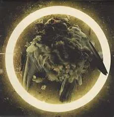 Halo (11) – Still Here EP (CD, EP)