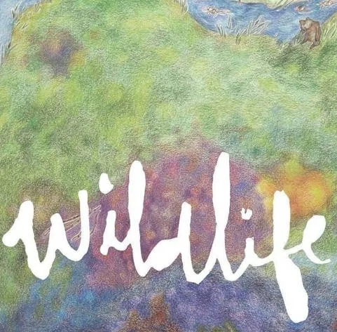 Headlights – Wildlife