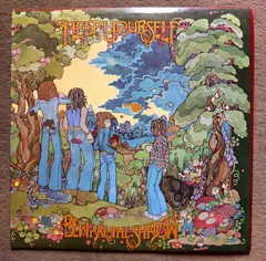 Help Yourself – Beware The Shadow (Vinyl, LP)