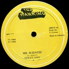 Horace Andy / Devon Irons – Mr. Scientist  /  A Different Song (Vinyl, 12")