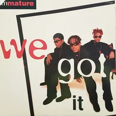 Immature – We Got It (Vinyl, 12")