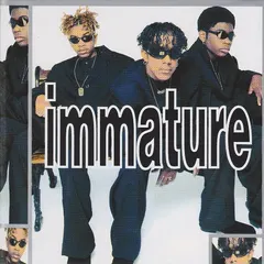 Immature – We Got It (CD, Album)