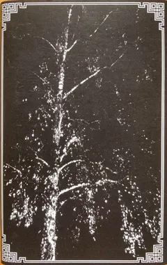 Ingwar (2) – Anhedone (Cassette, Single Sided)