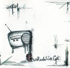 Input – A Radio With Guts (CD, Album)