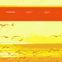 Interfearence – Dinheiro / Salvarsan (Vinyl, 12")
