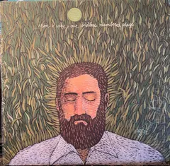 Iron + Wine* – Our Endless Numbered Days (Vinyl, LP)