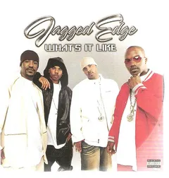 Jagged Edge (2) – What's It Like (CDr, Single)