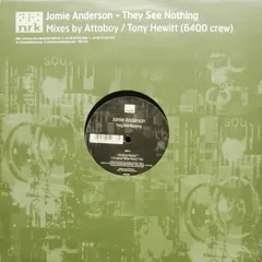Jamie Anderson – They See Nothing (Vinyl, 12")
