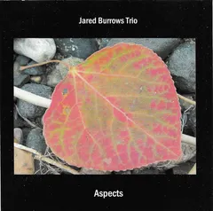 Jared Burrows Trio – Aspects (CDr, Album)