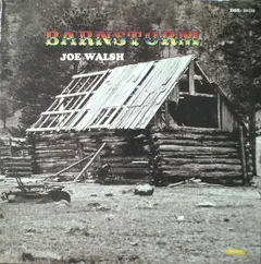 Joe Walsh Dunhill – Barnstorm (Vinyl, LP)