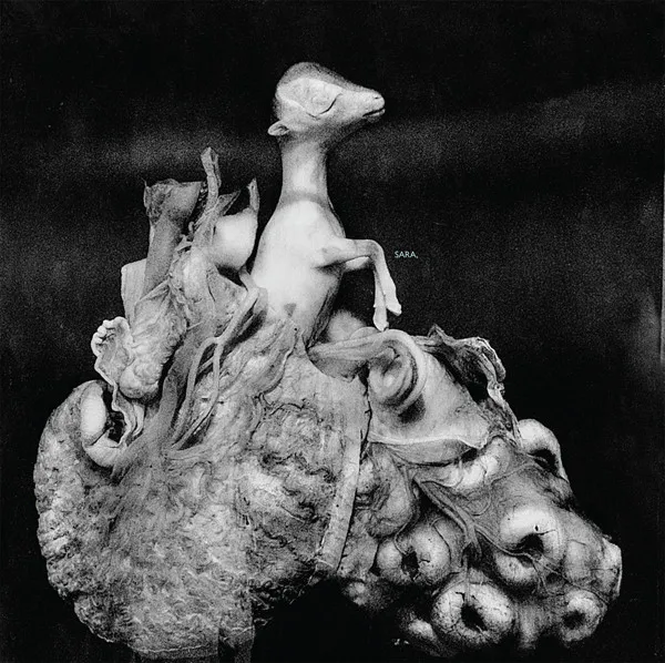 Johan Heltne – Sara,