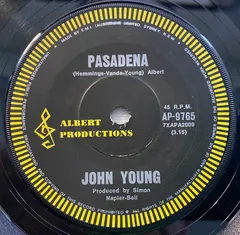 John Young* – Pasadena (Vinyl, 7")