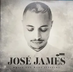 José James – While You Were Sleeping (Vinyl, LP)