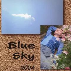 Joyce B Stewart – Blue Sky (CD, CD-ROM)