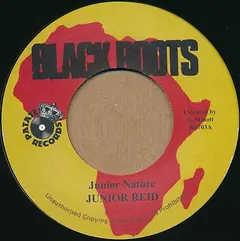 Junior Reid – Junior Nature (Vinyl, 7")