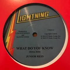 Junior Reid – What do you know (Vinyl, 12")