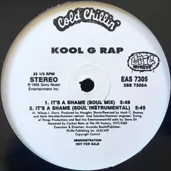 Kool G Rap – It's A Shame (Vinyl, 12")