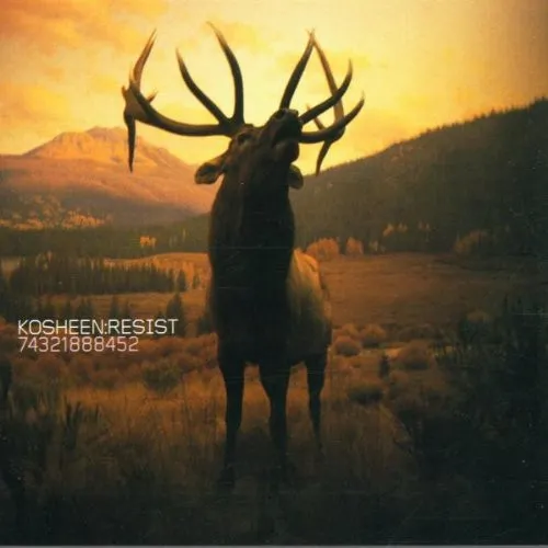 Kosheen – Resist