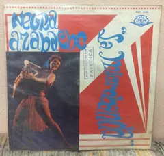 La Microbanda* – Negra Azabache (Vinyl, LP)