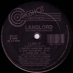 Landlord (2) Featuring Dex Danclair – I Like It (Vinyl, 12")