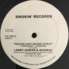 Larry Joseph & Science – Feeling That Sound Effect (Vinyl, 12")
