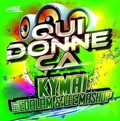 Lee Mashup – Qui Donne ça (File, MP3)