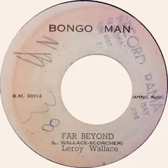 Leroy Wallace* – Far Beyond (Vinyl, 7")