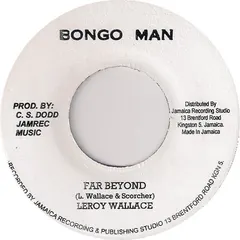 Leroy Wallace* – Far Beyond (Vinyl, 7")