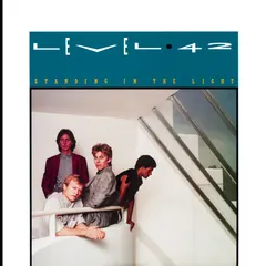 Level 42 – Standing In The Light (Vinyl, LP)