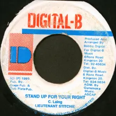 Lieutenant Stitchie – Stand Up For Your Right (Vinyl, 7")