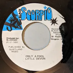 Little Devon – Only A Fool (Vinyl, 7")