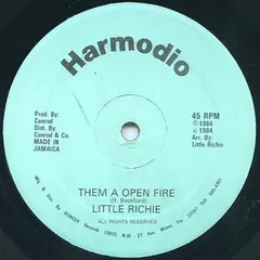 Little Richie (2) – Them A Open Fire (Vinyl, 12")
