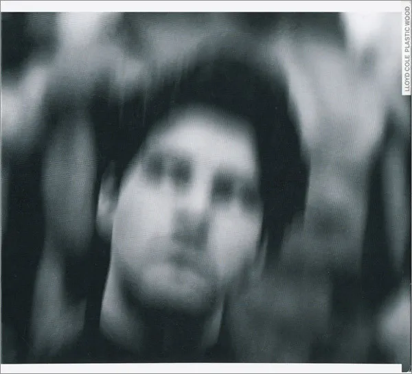 Lloyd Cole – Plastic Wood