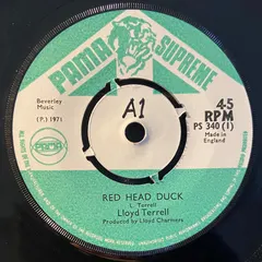 Lloyd Terrell* – Red Head Duck (Vinyl, 7")