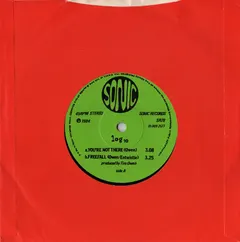 Log 10 – You're Not There (Vinyl, 7")