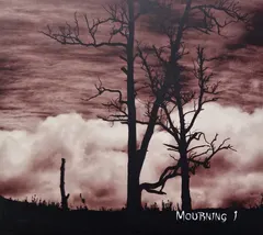 Lost In Desolation – Mourning I (CD, Album)