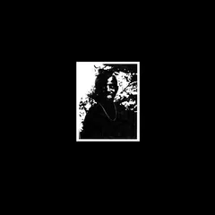 Lukah (2) – Chickenwire (Vinyl, LP)