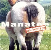 Manatee – Bumper (CD, Single)