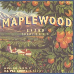 Maplewood – Maplewood (CD, Album)