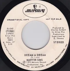 Marvin Sims* – Dream A Dream (Vinyl, 7")