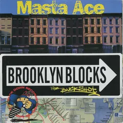 Masta Ace – Brooklyn Blocks / Last Bref (Vinyl, 12")
