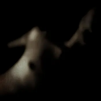Matt Cavallini – Werewolf