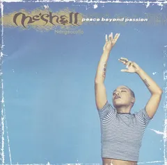 Me'Shell NdegéOcello – Peace Beyond Passion (CD, Album)