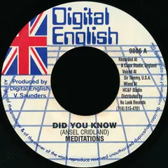 Meditations* – Did You Know (Vinyl, 7")