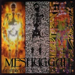 Meshuggah – Destroy Erase Improve (CD, Album)